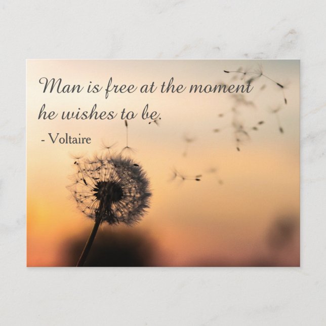 Carte Postale L'homme est libre Citation Voltaire (Devant)