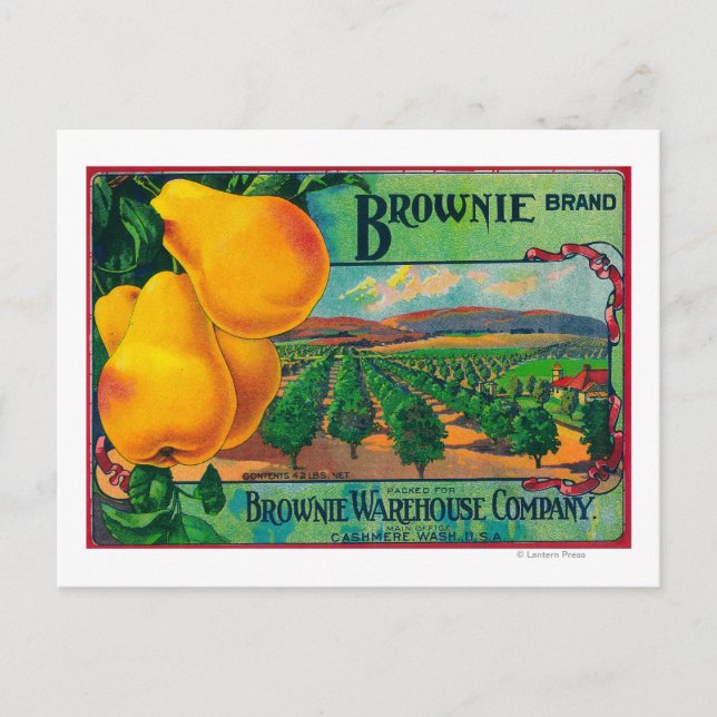 Carte Postale LibelléCashmere, WA (Devant)