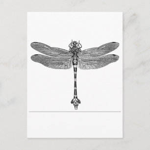 Carte Postale libellule