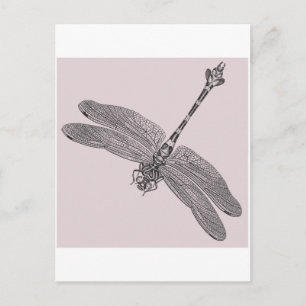 Carte Postale libellule