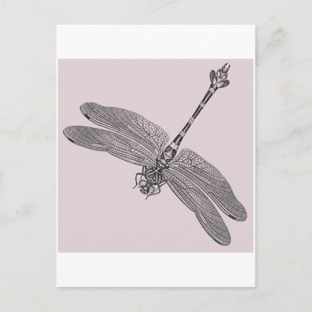 Carte Postale libellule (Devant)