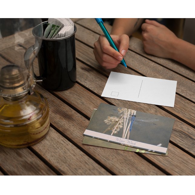 Carte Postale Libellule Bleue Vintage Note Botanique Personnalis (Créateur téléchargé)