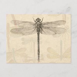 Carte Postale Libellule Vintage Antique Classique Nature