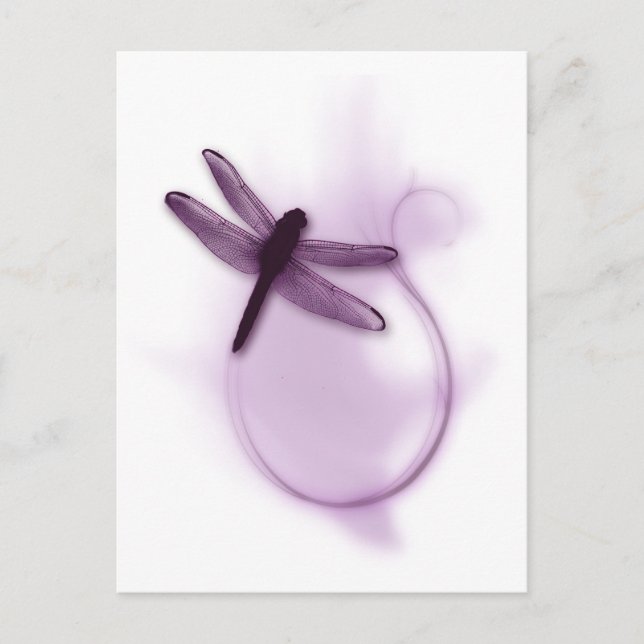 Carte Postale libellule violette (Devant)