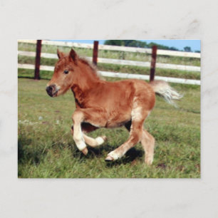 Carte postale Liberté