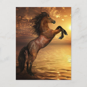 Carte Postale Liberté d'élevage de chevaux sauvages