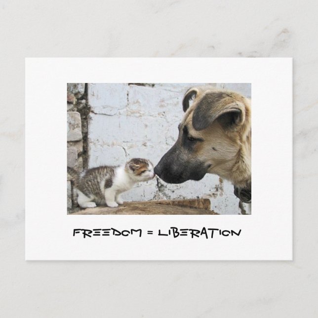 Carte Postale Liberté = Libération (Devant)