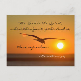 Citation Vol Cartes Postales Pas De Quantite Minimum Zazzle