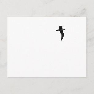 Carte Postale Liberté vraie