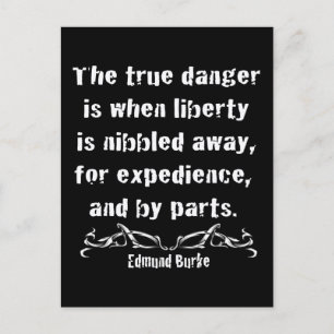 Carte Postale Liberty is Nibbled Away