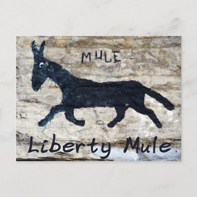 Carte Postale Liberty Mule - Liberty, TN (Devant)