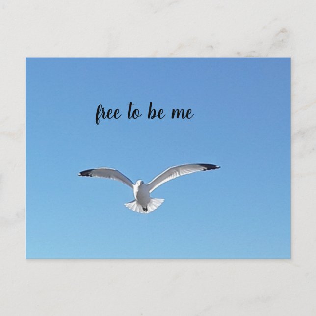 Carte Postale libre d'être moi oiseau en vol (Devant)