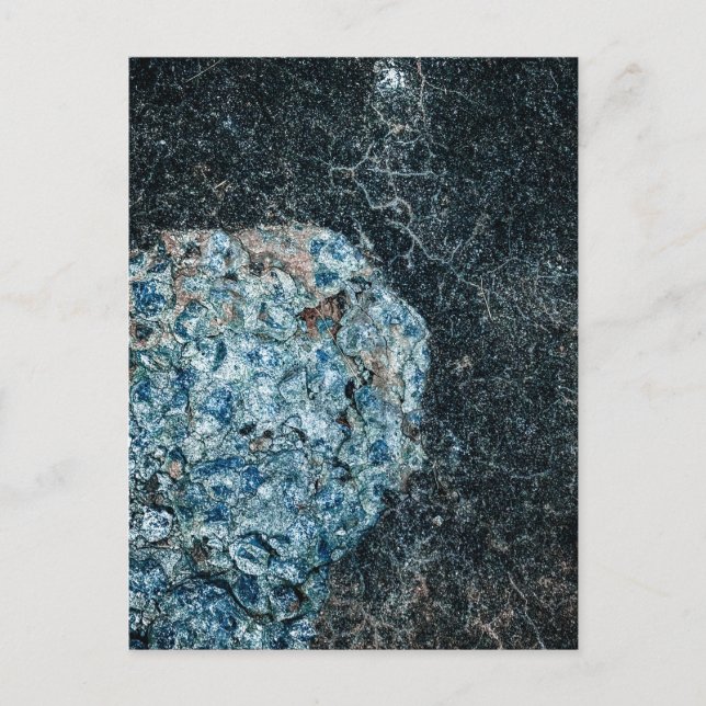 Carte Postale Lichen bleu-vert sur une surface sombre (Devant)