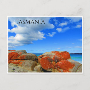 Carte Postale lichen de granit de tasmanie