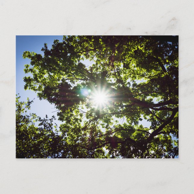 Carte Postale Lichtblick (Devant)