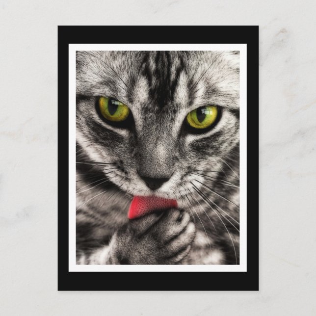 Carte Postale Lick (Devant)