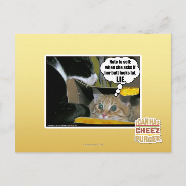 CARTE POSTALE LIE (Devant)