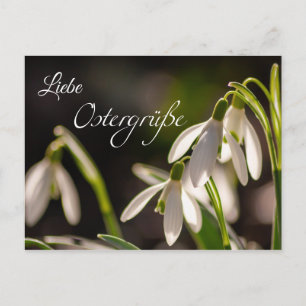 Carte Postale Liebe Ostergrüße aus dem Briefkasten