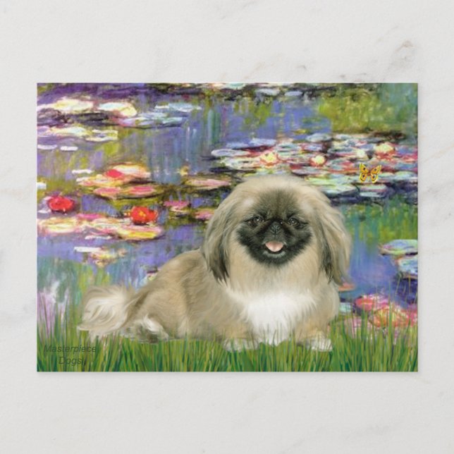 Carte Postale Lien 2 - Pekingese 1b (Devant)