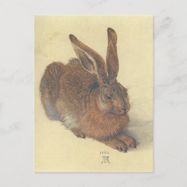 Carte Postale Lien par Albrecht Durer (Devant)