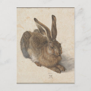 Carte Postale Lien par Albrecht Durer
