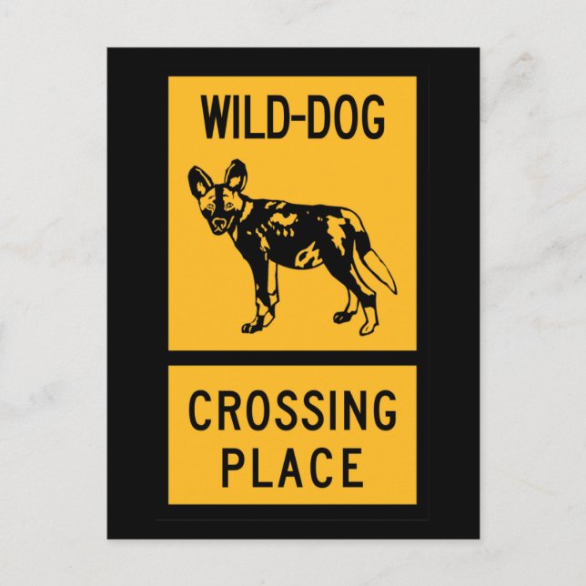Carte Postale Lieu de passage des chiens sauvages, panneau, Zimb (Devant)