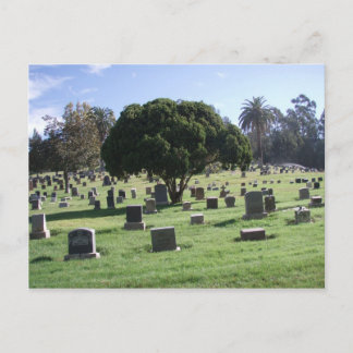 Carte Postale Lieux de repos