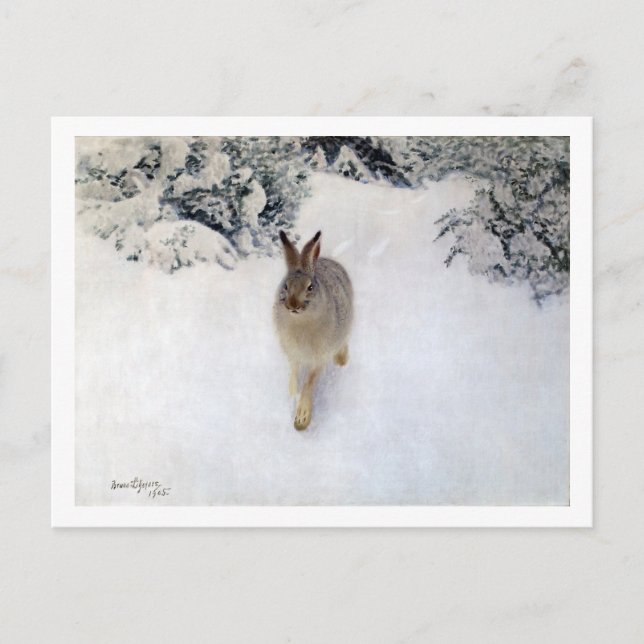Carte Postale Lièvre d'hiver (lapin), Bruno Liljefors (Devant)