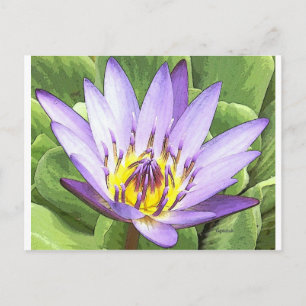 Carte Postale Light in the heart of the lotus