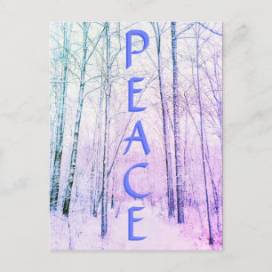 CARTE POSTALE LIGHT WINTER PEACE3