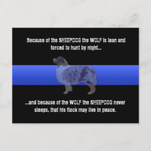 Carte Postale Ligne Bleue Mince Le Berger Ne Dort Jamais