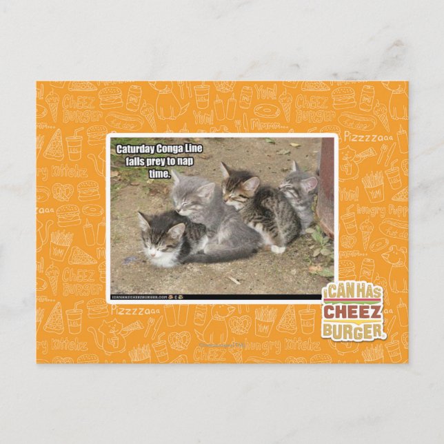 Carte Postale Ligne Caturday Conga (Devant)