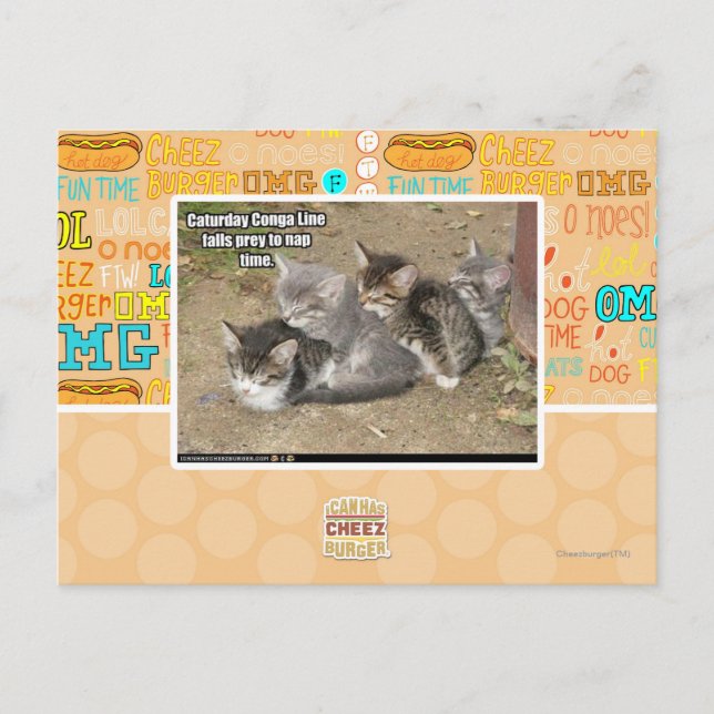 Carte Postale Ligne Caturday Conga (Devant)