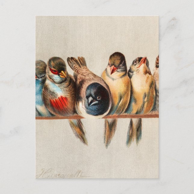 Carte Postale Ligne d'oiseaux et de colombes (Devant)
