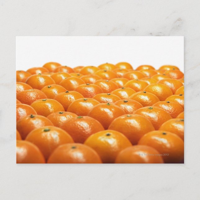 Carte Postale Ligne d'oranges (Devant)