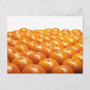 Carte Postale Ligne d'oranges
