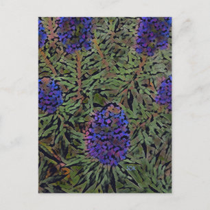 Carte Postale Lignes de Lavender