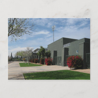 Carte Postale Ligue Arizona Cactus