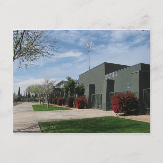 Carte Postale Ligue Arizona Cactus (Devant)