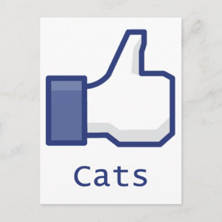 Carte Postale Like Cats