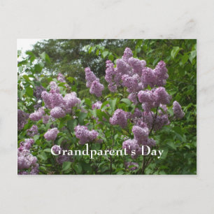 Carte Postale Lilac Bush-Syringa-Flower Plantes en bois