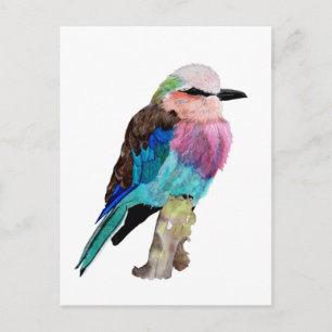 Carte Postale Lilac Roller Breast Bird