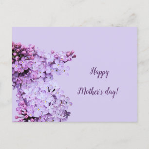 Carte Postale Lilac violet violet floral