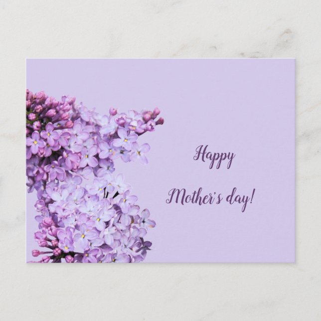 Carte Postale Lilac violet violet floral (Devant)