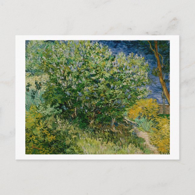 Carte Postale Lilacs, Vincent van Gogh (Devant)