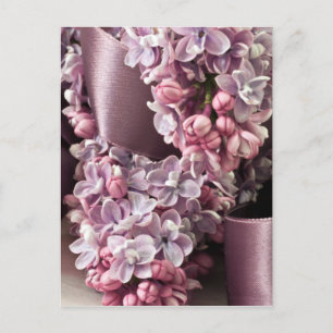 Carte Postale Lilas Et Boucles De Ruban