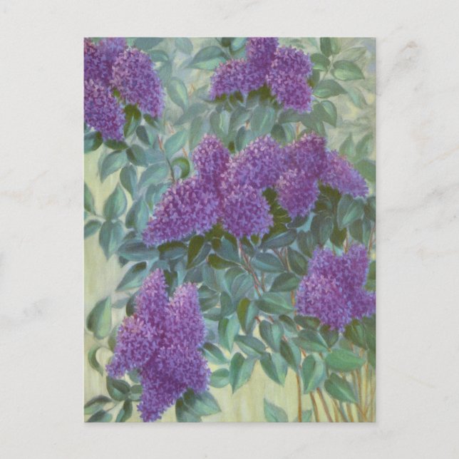 Carte Postale Lilas pourpre de Cargill, 1937 (Devant)