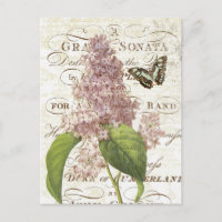 Carte postale lilas vintage