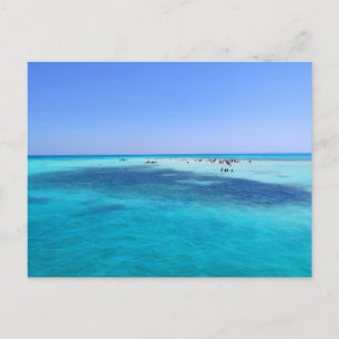 Carte Postale L'île blanche en mer Rouge
