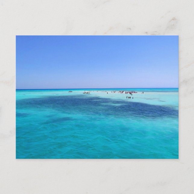 Carte Postale L'île blanche en mer Rouge (Devant)